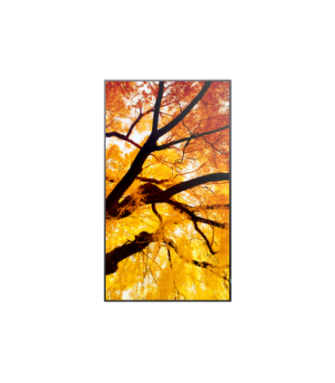 Sharp MultiSync M322 Pantalla plana para señalización digital 81,3 cm (32") LCD 550 cd / m² Full HD Negro