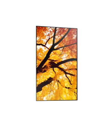 Sharp MultiSync M322 Pantalla plana para señalización digital 81,3 cm (32") LCD 550 cd / m² Full HD Negro