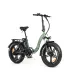 YOUIN TRICICLO E-BIKE CARGO YO