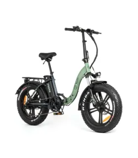 YOUIN TRICICLO E-BIKE CARGO YO