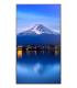 SHARP PROFESSIONAL LARGE FORMAT DISPLAYS MODEL PN-P436, 43" P-SERIES LARGE FORMAT DISPLAY, UHD, 700CD/M2, D-LED BACKLIGHT, 24/7.