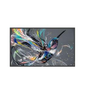 Philips 55BDL3650QE/00 pantalla de señalización Pantalla plana para señalización digital 138,7 cm (54.6") Wifi 350 cd / m² 4K Ul