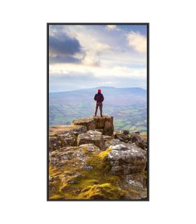 SHARP ESSENTIAL DISPLAYS MODEL PN-E439, 43" E-SERIES LARGE FORMAT DISPLAY, UHD, 350CD/M2, D-LED BACKLIGHT, 16/7 PROOF, USB MEDIA