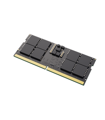 Lexar LD5DS016G-B4800GSST módulo de memoria 16 GB DDR5 4800 MHz ECC