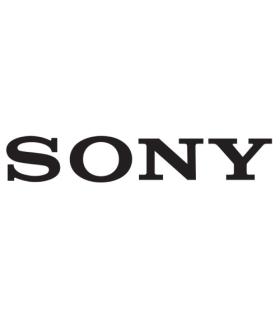 Sony TEM-UL20.1Y licencia y actualización de software 1 licencia(s) 1 año(s