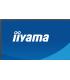 MONITOR IIYAMA 23,8" IPS, 4-SIDE SLIM BEZEL 1920X1080 100Hz