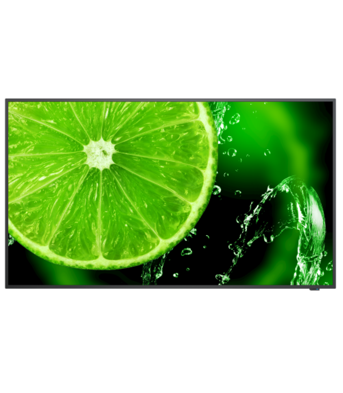 NEC MultiSync E658 165,1 cm (65") IPS 350 cd / m² 4K Ultra HD Negro 16/7