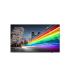 MONITOR PHILIPS 65" B-LINE / PANEL IPS D-LED 16:9 / 3840X2160 350CD/M2 / 8MS / PIXEL PITCH 0.372X0.372 / VESA 200X200/M6 / SOC..