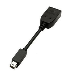 CONECTOR PNY MINIDP TO DP (96mm) (QSP-MINIDP/DPV3