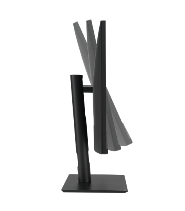 ASUS ProArt PA32UCE pantalla para PC 80 cm (31.5") 3840 x 2160 Pixeles 4K Ultra HD LED Negro